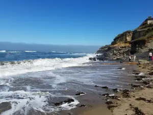 Fogarty Creek State Recreation Area