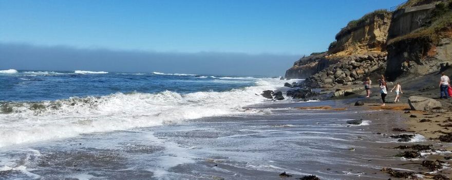 Fogarty Creek State Recreation Area