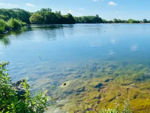 Colwick Country Park