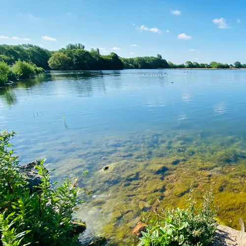 Colwick Country Park