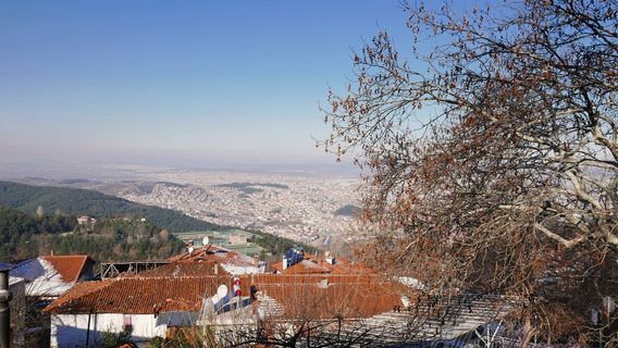 İnkaya Historical Plane Tree