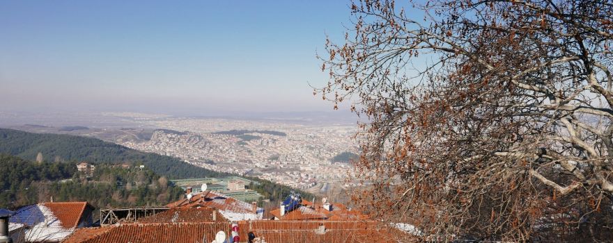 İnkaya Historical Plane Tree