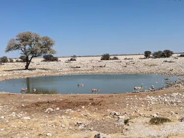 Regione dell'Oshana