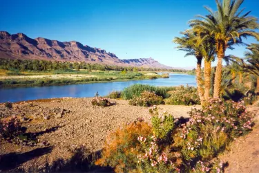 Draa Valley