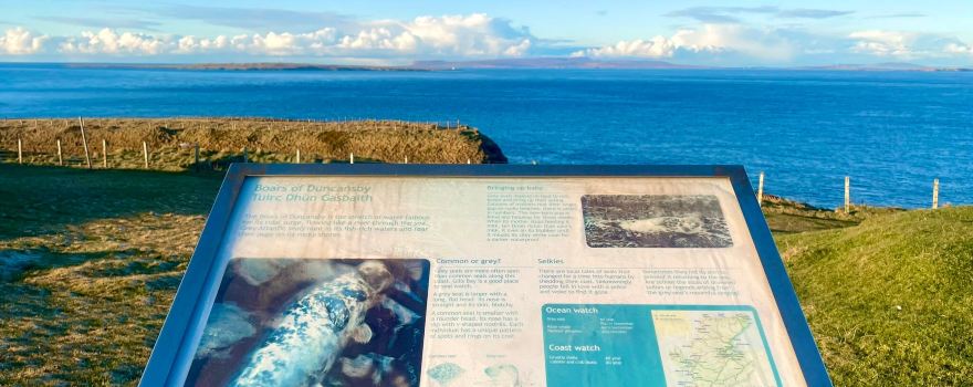 Duncansby Head