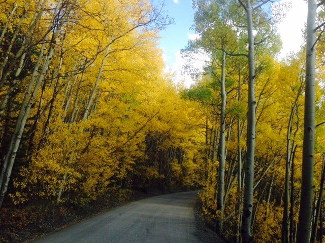Boreas Pass Road