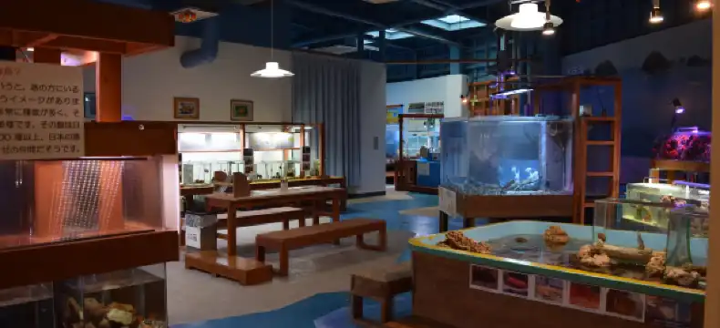 海陽町のホテル