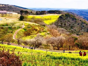 ฟาร์มแม่