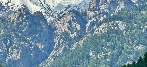 techneeq Properties in Chitral