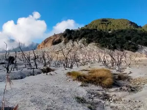 Gunung PAPANDAYAN