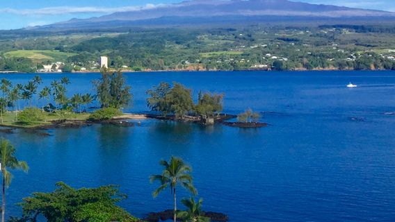Hilo Ocean Adventures
