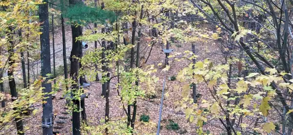 Hotels in Copake