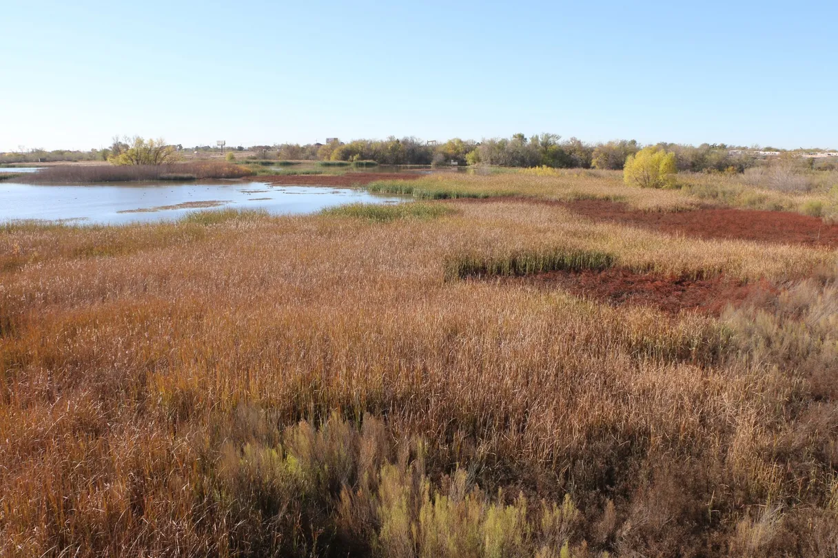4_The I-20 Wildlife Preserve & Jenna Welch Nature Study Center