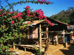 Huay Sua Thao: Kayan (long neck) village
