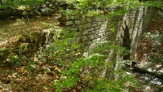 Poinsett Bridge