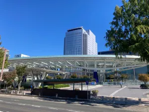 Oasis 21
