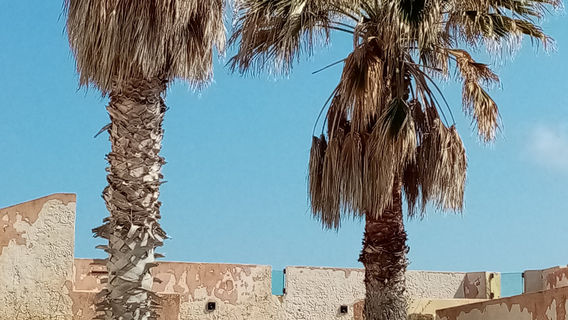 Trapani