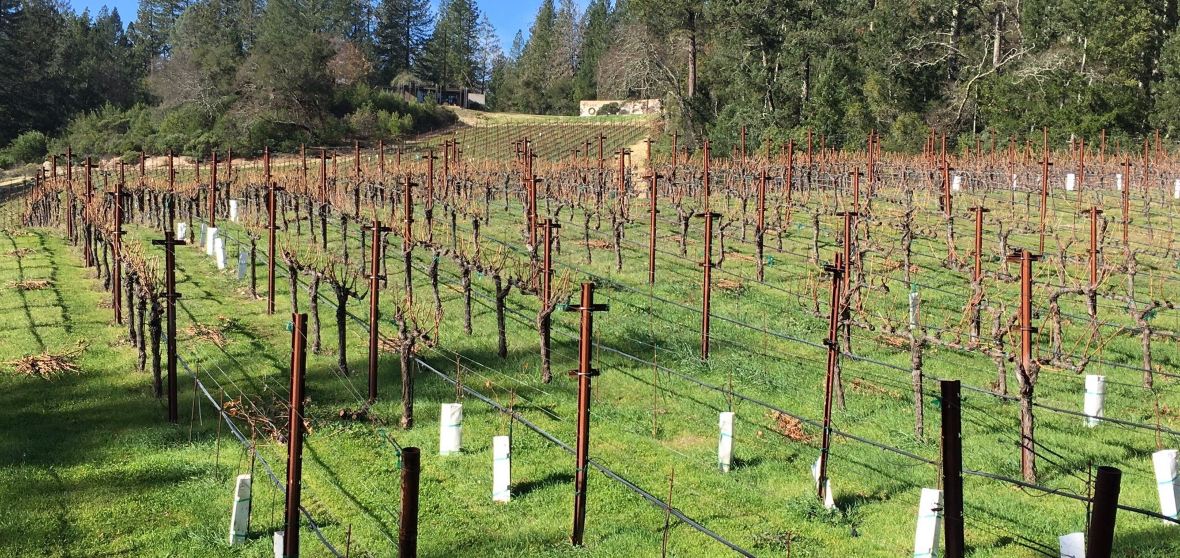 Things to do in Angwin (2025): Top nearby activities,popular ...