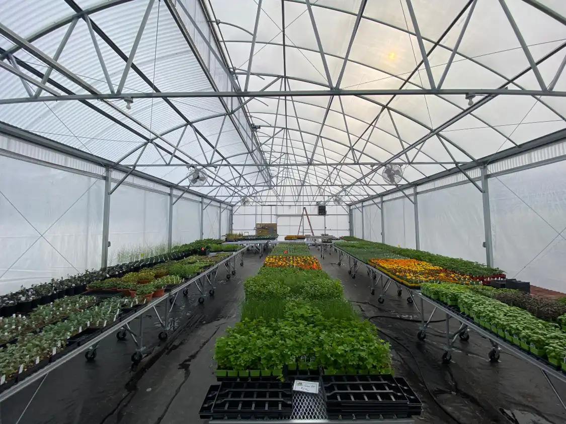 Hotels near Glen Allen Greenhouse