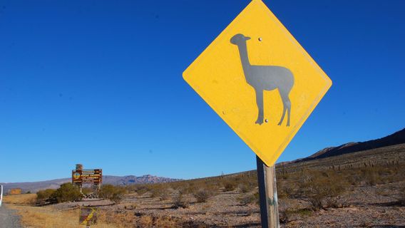 los Cardones National Park