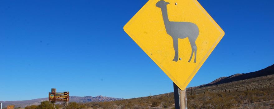 los Cardones National Park
