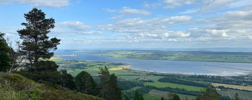 Alness