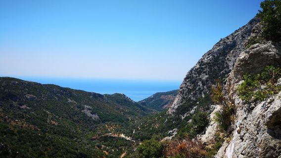 Samos