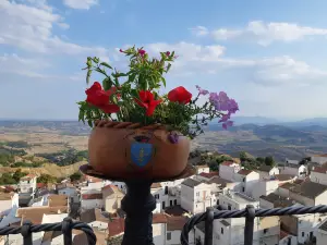 Rione Dirupo