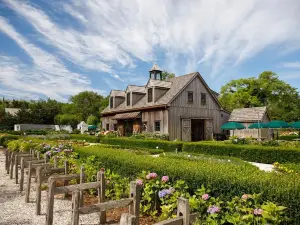 Beach Plum Farm