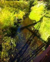 Historic Bridge Park