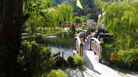 Pangkor