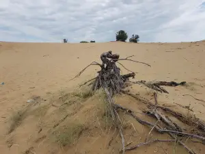 Douglas Provincial Park