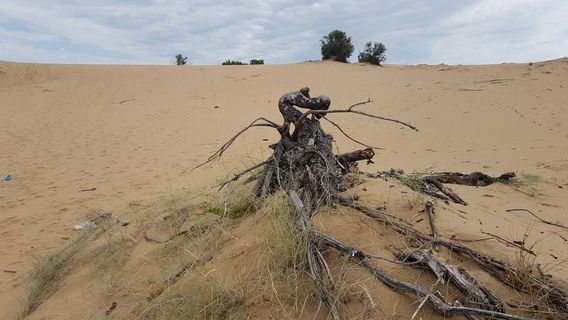 Douglas Provincial Park