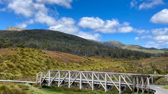 Cradle Mountain