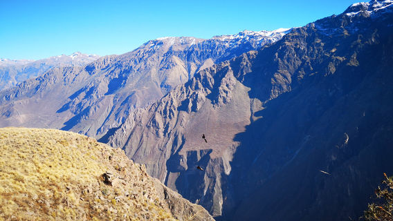 Mirador Cruz del Condor