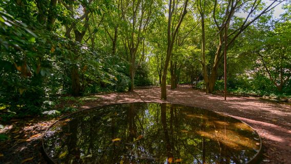 Jardim da Fundação Calouste Gulbenkian