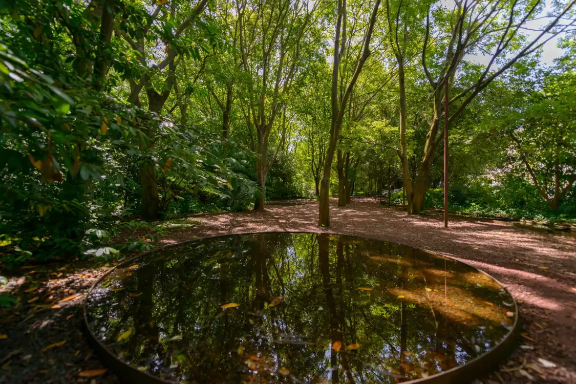 Hotels near Garden of the Calouste Gulbenkian Foundation