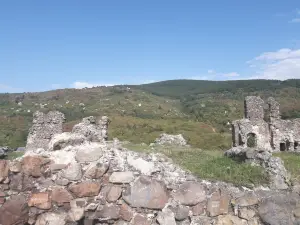 Vynohradiv Castle (Castle Kanku)