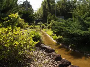 Japanese Colony Memorial