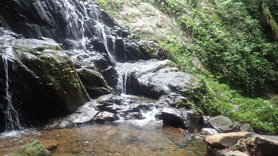 Mayflower Bocawina National Park