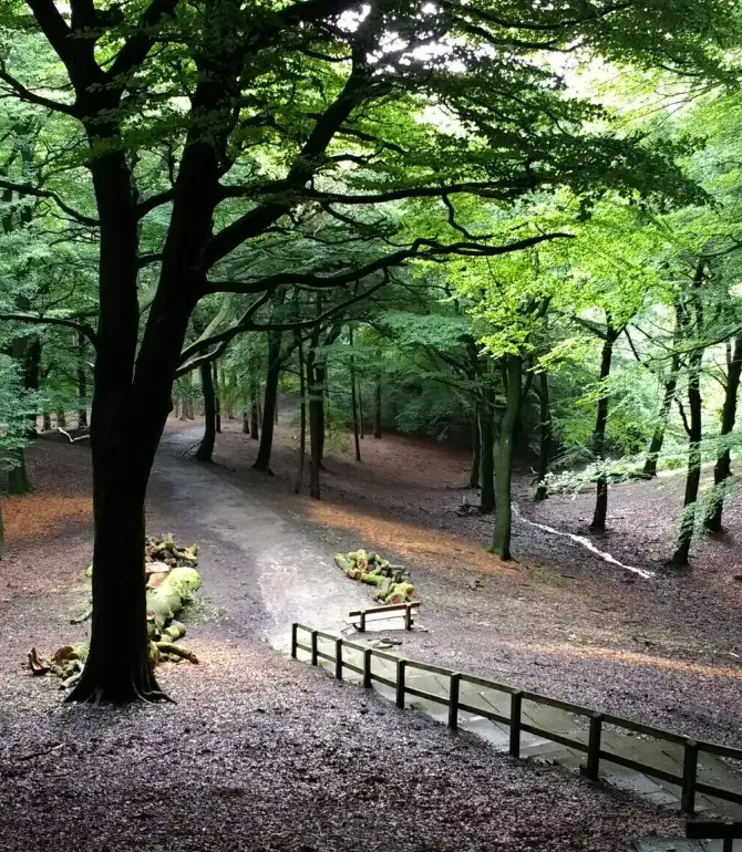 Royton