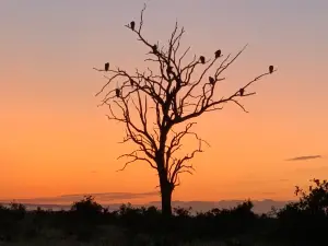 South African National Parks