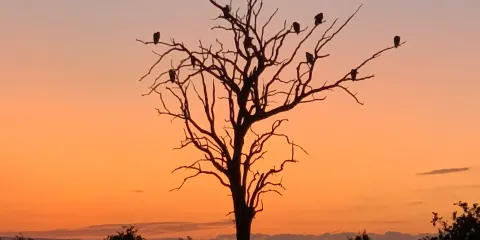 South African National Parks