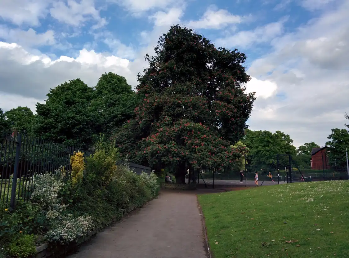 Hotels near Cale Green Park