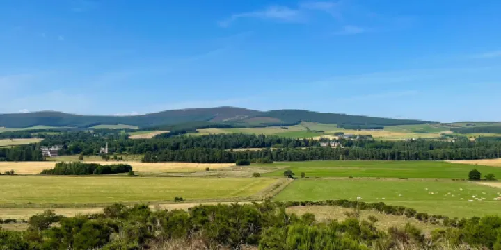 Tomnaverie Stone Circle