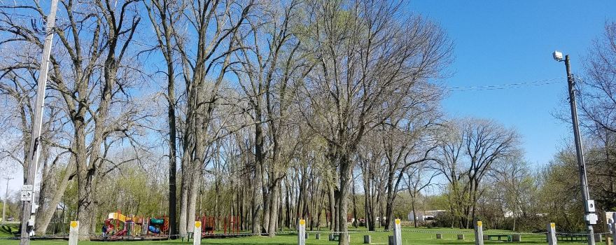 Trailhead Park