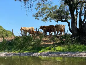 PAN SARL - Location canoë-kayak, Haute-Saône
