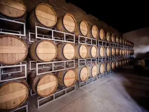 Vinicola Santa Elena