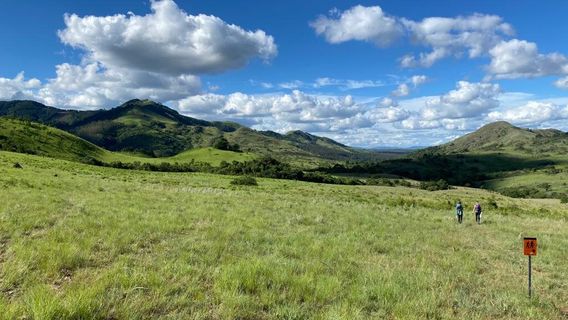 Queen Rose Hiking Trail