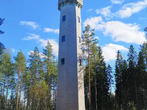 Elvingin torni
